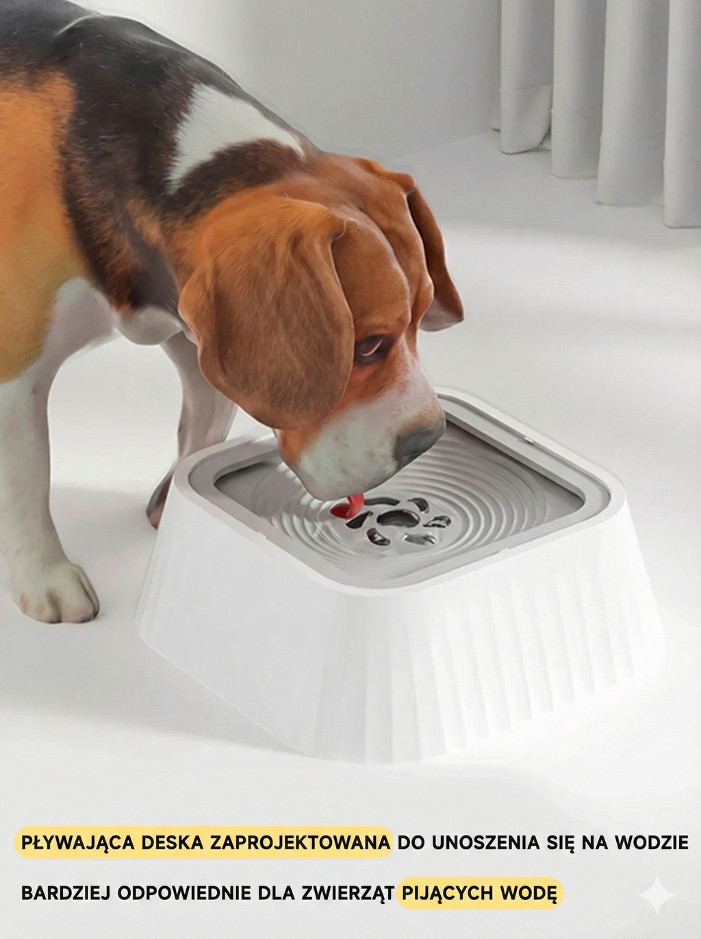 Miska Antyrozlewowa z Pływającą Płytką – czysta woda, zero chlapania, zdrowe picie 🐾💗