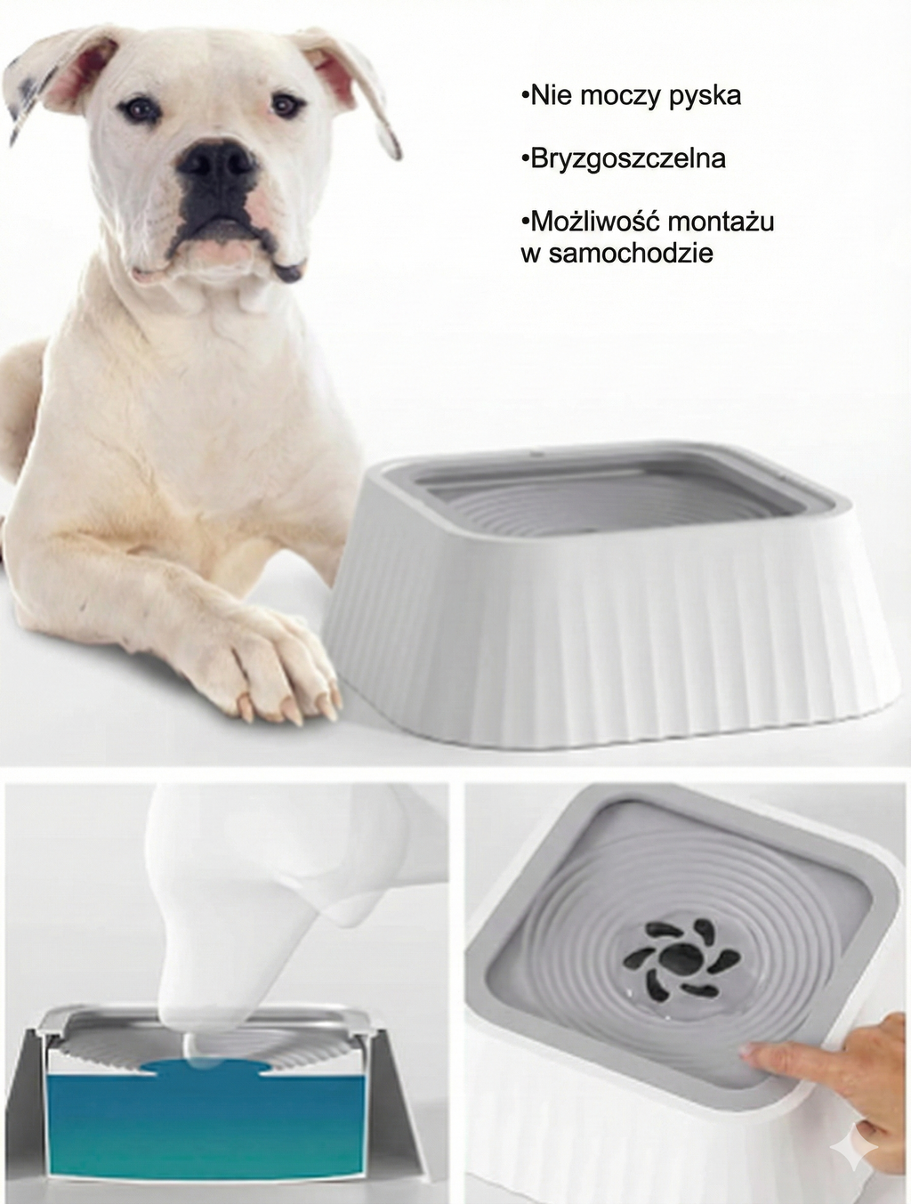 Miska Antyrozlewowa z Pływającą Płytką – czysta woda, zero chlapania, zdrowe picie 🐾💗
