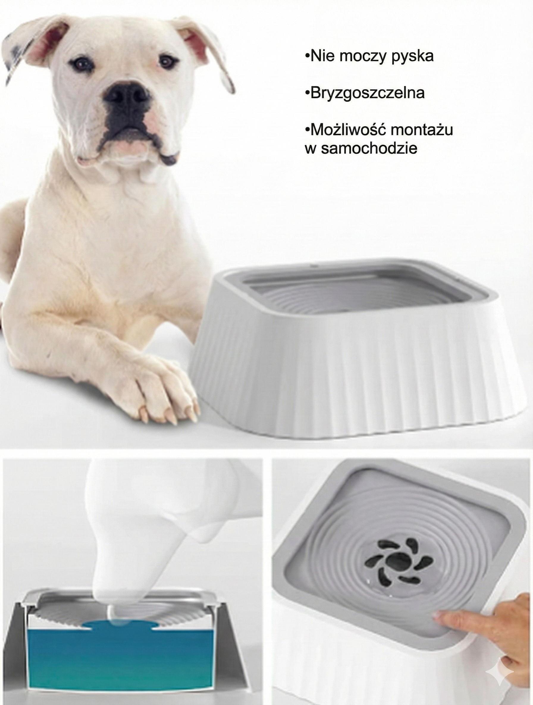 Miska Antyrozlewowa z Pływającą Płytką – czysta woda, zero chlapania, zdrowe picie 🐾💗